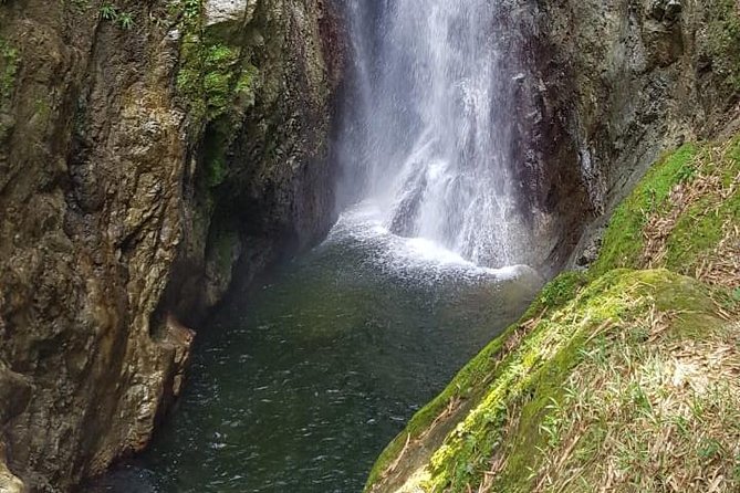 2 Hours Trekking Waterfall Tour in Tobago - Key Highlights to Know Before You Go