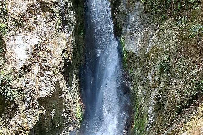 2 Hours Trekking Waterfall Tour in Tobago - Atlantic Ocean Coastal Views During the Drive