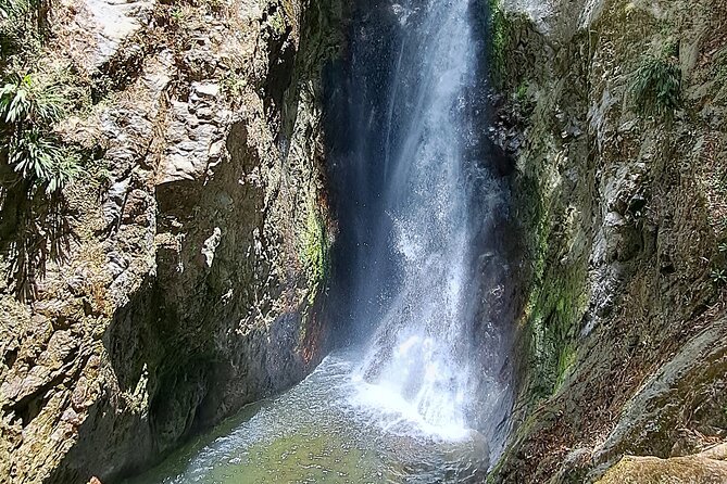 2 Hours Trekking Waterfall Tour in Tobago - What’s Included, and Why Those Details Matter