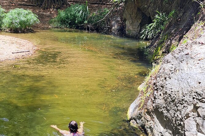 2 Hours Trekking Waterfall Tour in Tobago - Walking the Tropical Forest Trail, 45 Minutes Up