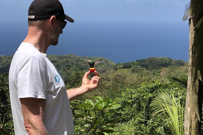 3 Hours Rainforest Walk in Tobago (Private) Lunch + Hummingbirds - Rental boots and a low intensity trail you can actually enjoy