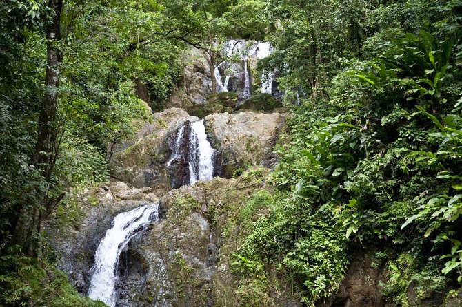 Argyle Waterfall with Adventure Farm - Key highlights you will care about