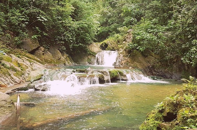 Aripo Waterfall Adventure - Who this tour fits best, and who should skip it