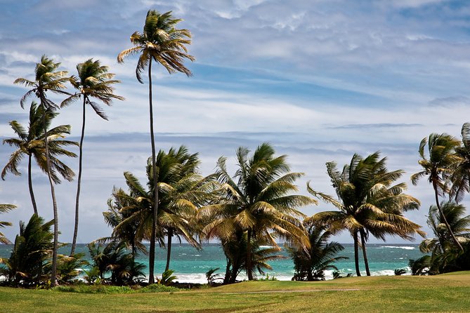 Around the Island - A Small-Group Day Around Tobago That Moves Like a Good Playlist