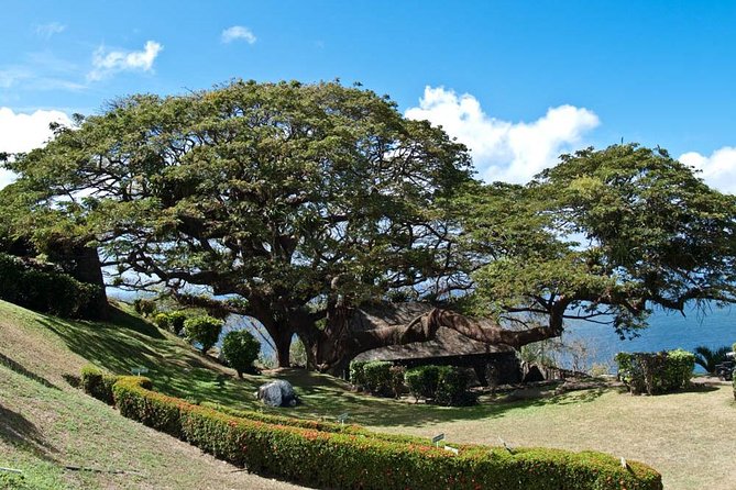Around the Island - Price and Logistics: What $130 Buys You in Tobago
