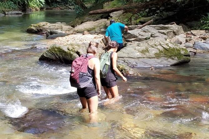 Avocat Waterfall and Beach Tour - Key things to know before you go