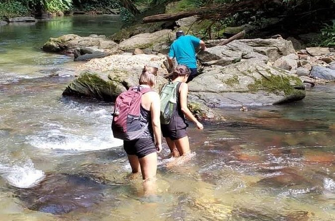 Avocat Waterfall and Beach Tour - The drive from pickup to drop-off: time, traffic, and motion sickness