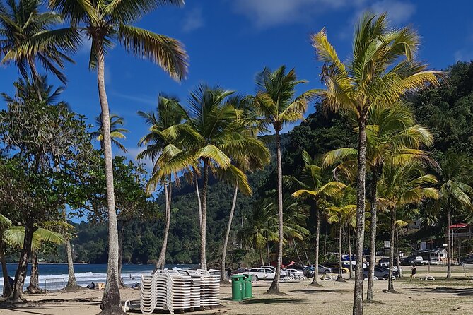 Avocat Waterfall Tour & Beach Stop Adventure - Maracas Bay downtime, beach comfort, and bake and shark