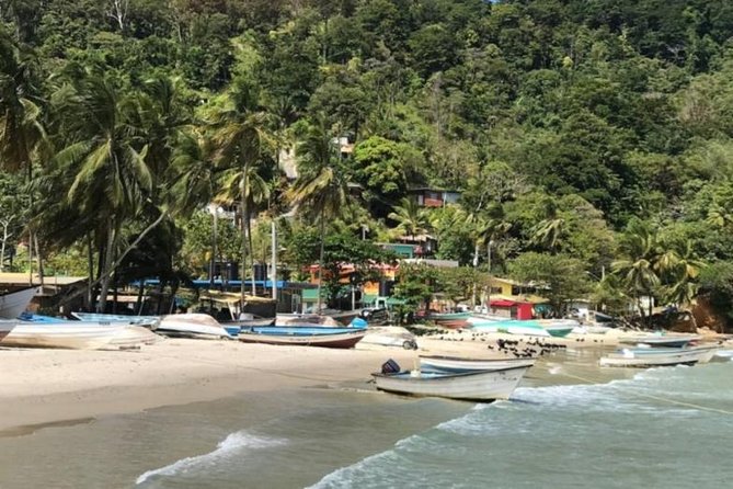Avocat Waterfall Tour & Beach Stop Package - Avocat Waterfall hike, where the trail feels new and the payoff is real