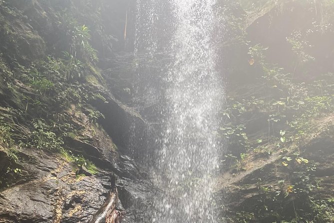Avocat Waterfall Tour & Beach Stop Package - Timing and getting there: the 10:00 am start and windy-road reality