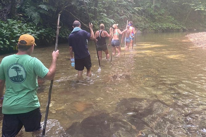 Avocat Waterfall Tour & Beach Stop Package - Guide quality: why Mitch and Rich are mentioned again and again
