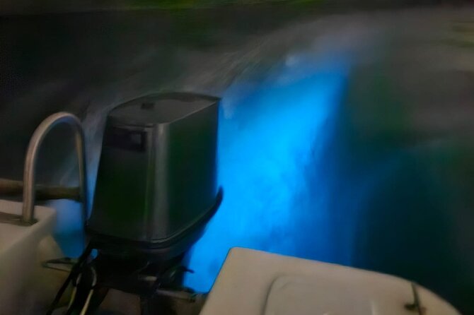 Bioluminescence Tour - Timing and group rhythm for a 3-hour night tour