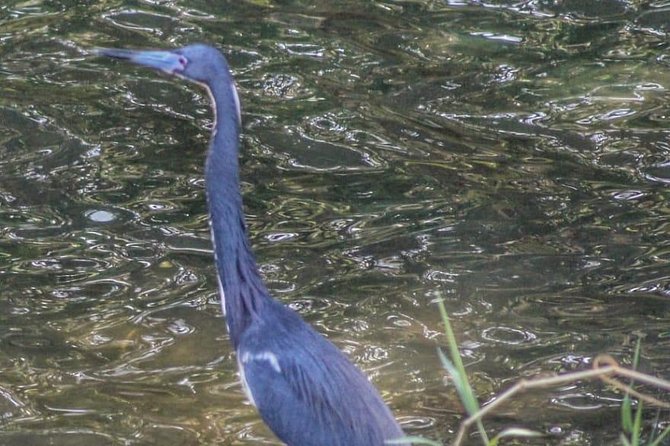 Bird Watching Tours - Practical tips so you get the most from the walk