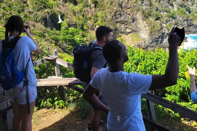 Birdwatching, Waterfall, Rainforest and Island Nature Tours - What you learn: trees, habitats, and bird behavior