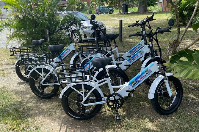Breeze Through Tobago on an E-bike - Photo stops and local orientation: where the real value shows up