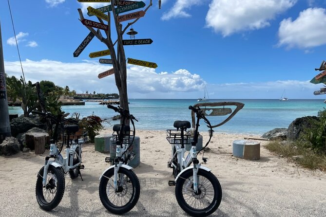 Breeze Through Tobago on an E-bike - Who this tour is best for, and who might want a different plan