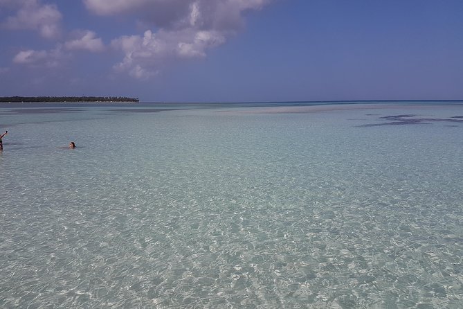 Buccoo Reef and Nylon Pool Adventure - Key things that make this Buccoo Reef and Nylon Pool trip work