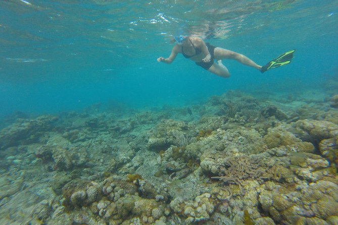 Buccoo Reef and Nylon Pool Adventure - Price and value: $189 per person, and what you get for it