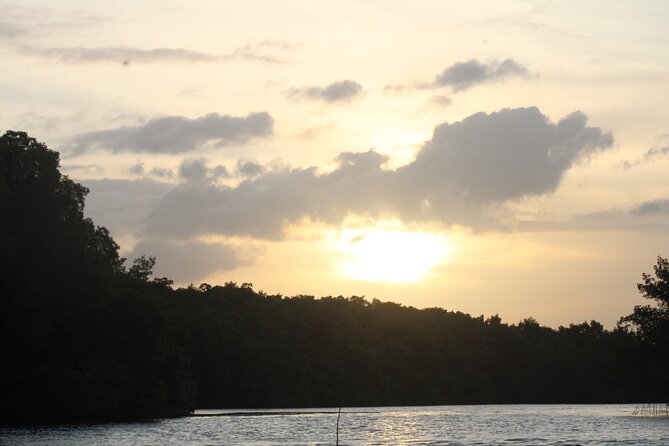 Caroni Bird Sanctuary Tour - What to wear and bring, so the swamp stays enjoyable