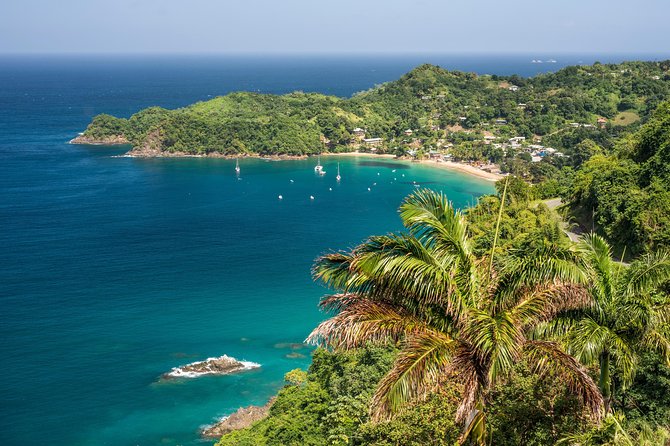 Castara Bay Day Trip with Lunch - Castara Bay: why this Tobago coast feels calm and personal