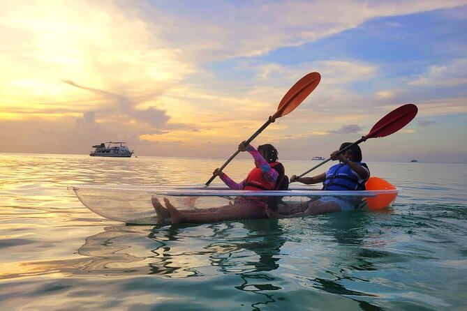 Clear Kayaking in Tobago - Logistics at Swallow’s Beach: Where to Meet and How Not to Lose Time