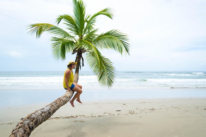 Coastal Tour of Trinidad - Key Things to Know Before You Go