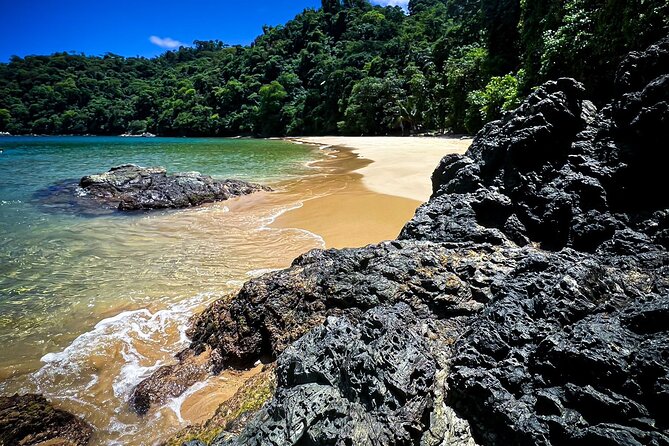 Coastline Snorkel and BBQ - Key takeaways before you book