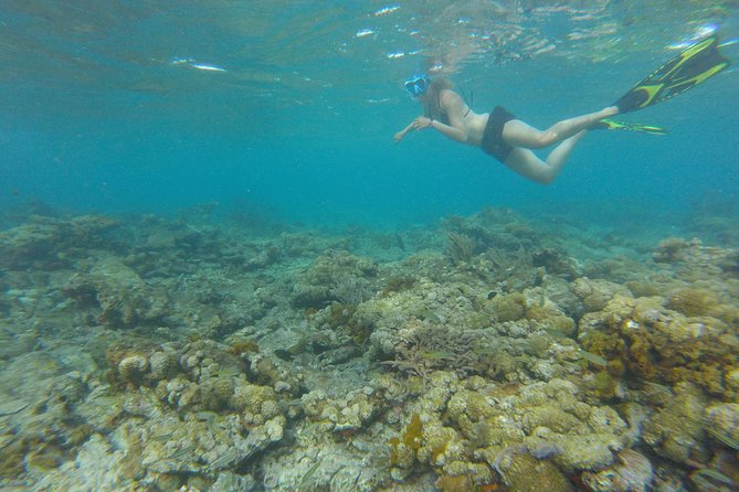 Coastline Snorkel and BBQ - The open boat-bar stop: where the tour breathes