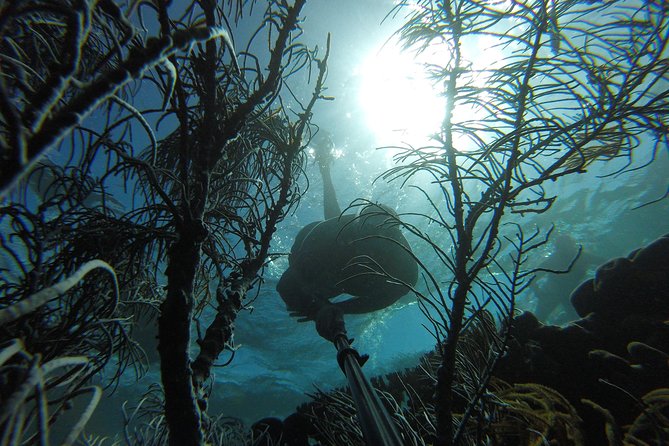 Coastline Snorkel and BBQ - Price and value: is $200 a good deal for 3.5 hours?