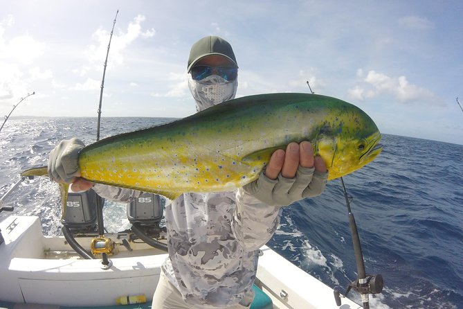 Deep Sea Fishing (Street Food and Beer Included) - Wildlife and Sea Life Chances (So You Stay Curious)