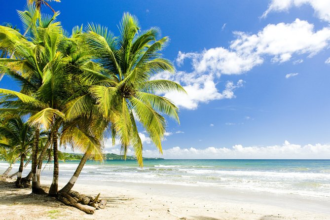 Englishman's Bay Day Trip with Lunch - Key highlights to decide fast