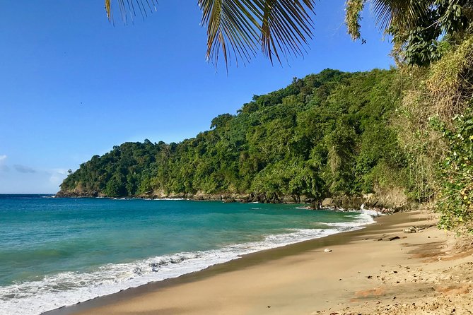 Englishman's Bay Day Trip with Lunch - Englishman’s Bay: The main stop that actually shapes the day