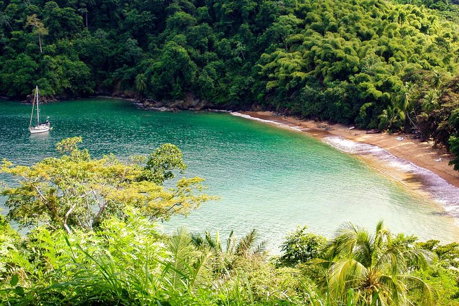 Englishman's Bay Day Trip with Lunch - Snorkeling included: what you should do to make it worth your time