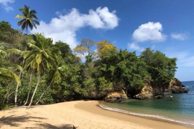 Englishman’s Bay Day Trip with Lunch