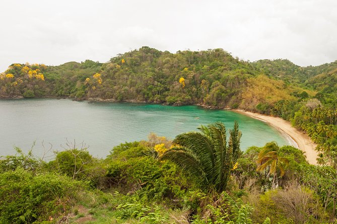 Englishman's Bay Day Trip with Lunch - Weather and timing: plan for Tobago, not against it