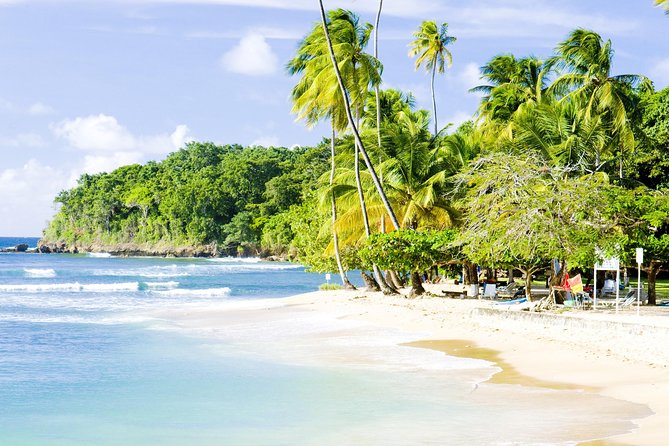 Englishman's Bay Day Trip with Lunch - Price and value: what $185 covers and why it adds up