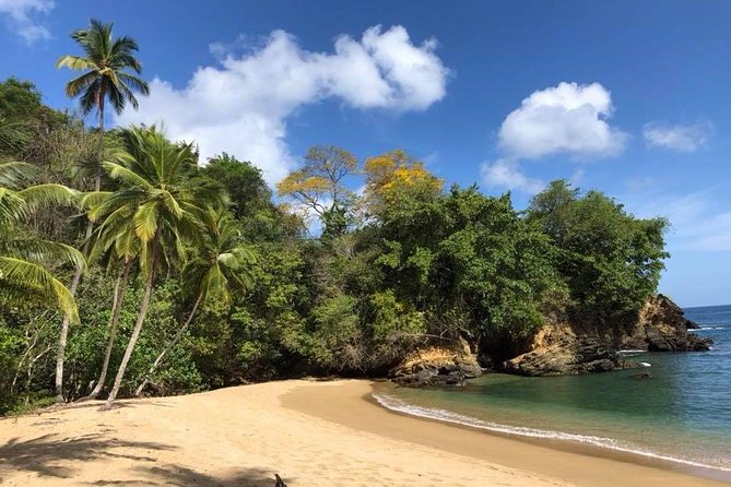 Englishman's Bay Day Trip with Lunch - Your transport comfort: pickup plus a private A/C vehicle