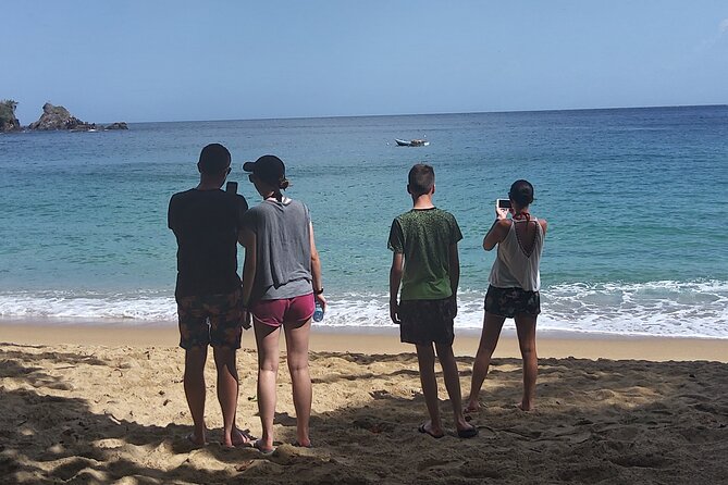 Full Day Tour in Tobago Island with Lunch - Stop One and the Role of a First Orientation Moment