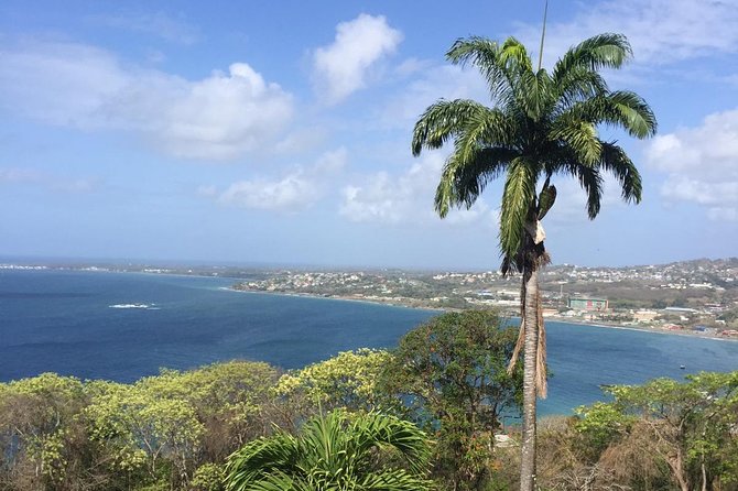 Full Island Tour (Including Lunch & Snorkeling) - Key reasons this Tobago day tour is such a good deal