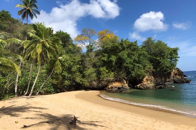 Full Island Tour (Including Lunch & Snorkeling) - A full Tobago day that strings together fort, cocoa, and sea time