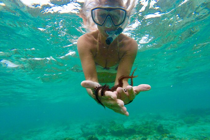 Glass Bottom Nylon Pool Tour in Buccoo Reef - From Buccoo Bay Toward Bon Accord Lagoon: The Scenic Warm-Up