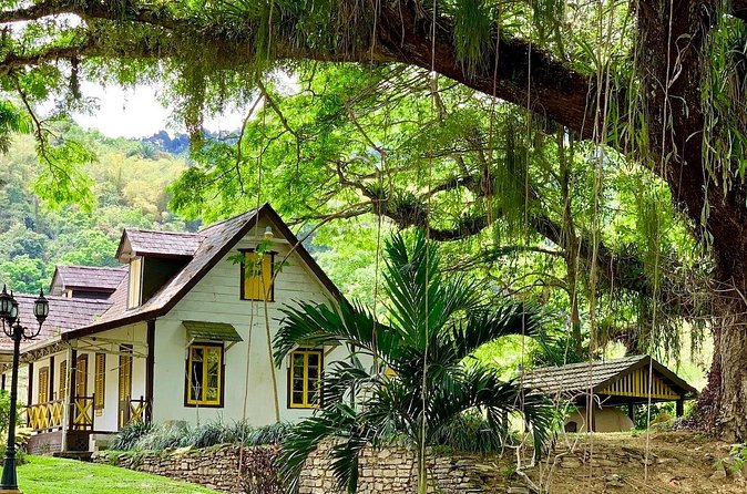 Half-day 3-Course Cocoa Lunch Tour in Trinidad - Should you book the half-day 3-course cocoa lunch in Trinidad?
