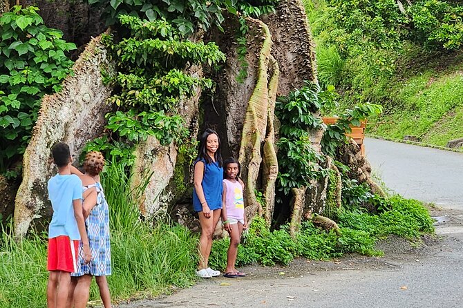 Half Day Tobago Tours with Transfers - Key Points at a Glance
