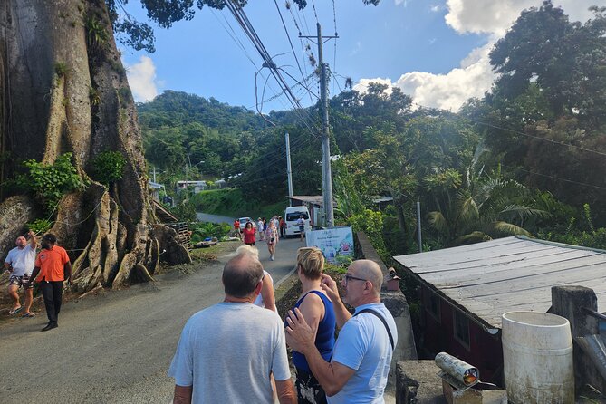 Half Day Tobago Tours with Transfers - Getting Picked Up and Staying on Track