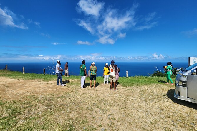 Half Day Tobago Tours with Transfers - Mt Dillion and Castara Views: Quick Scenic Payoff