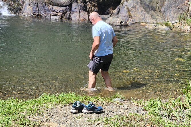 Half Day Tobago Tours with Transfers - Parlatuvier and the Optional Hummingbirds Add-On