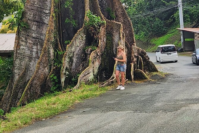 Half Day Tobago Tours with Transfers - Price and Value: What You’re Really Paying For