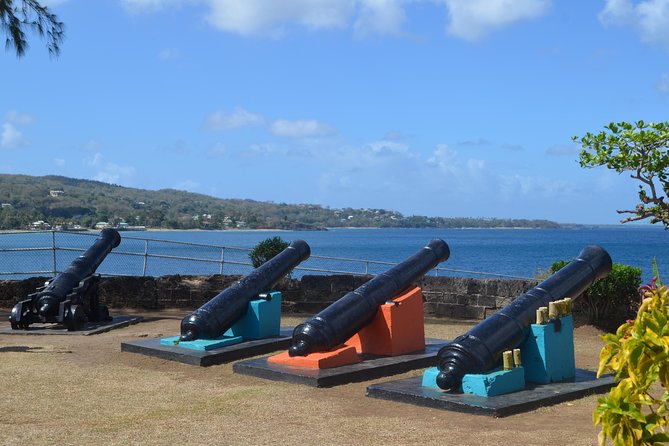 Highlights of Tobago Tour - Getting started at 9:00 am, pickup, and how the ride works