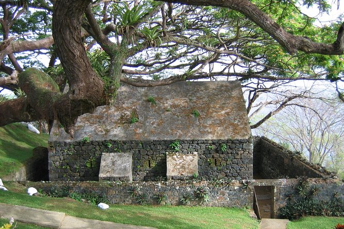Highlights of Tobago Tour - Scarborough Botanical Garden: a short stroll in Tobago’s capital