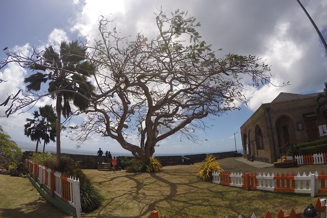 Highlights of Tobago Tour - Plymouth and the Fort James ruins: curiosity payoffs